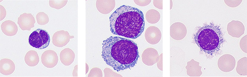 pg电子游戏(试玩)官方网站-APP下载