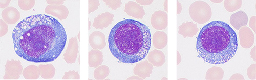 pg电子游戏(试玩)官方网站-APP下载