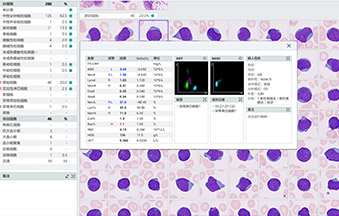 pg电子游戏(试玩)官方网站-APP下载