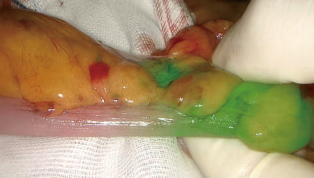 pg电子游戏(试玩)官方网站-APP下载