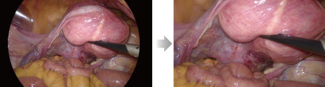 pg电子游戏(试玩)官方网站-APP下载