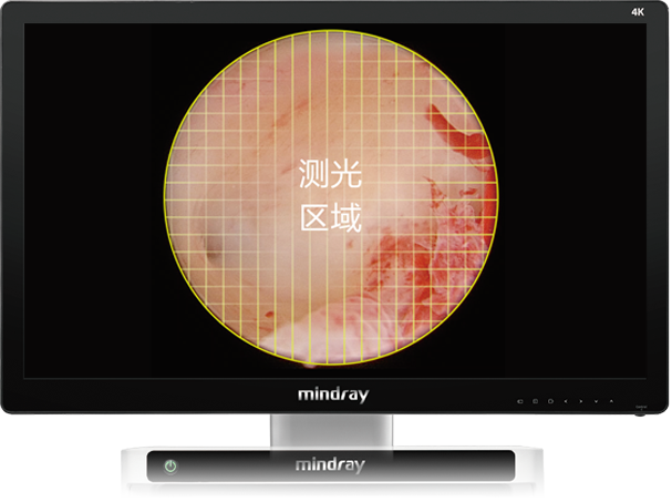 pg电子游戏(试玩)官方网站-APP下载