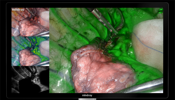 pg电子游戏(试玩)官方网站-APP下载