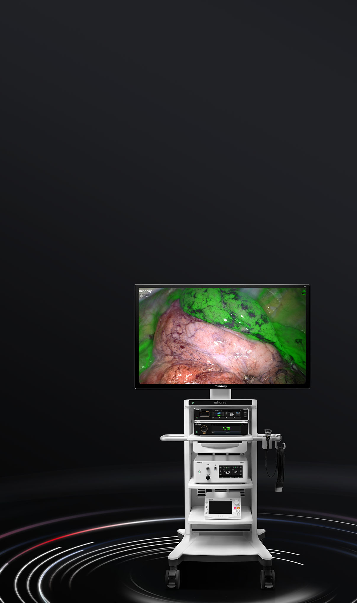 pg电子游戏(试玩)官方网站-APP下载