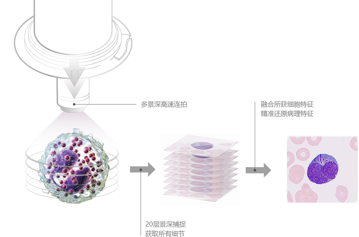 pg电子游戏(试玩)官方网站-APP下载