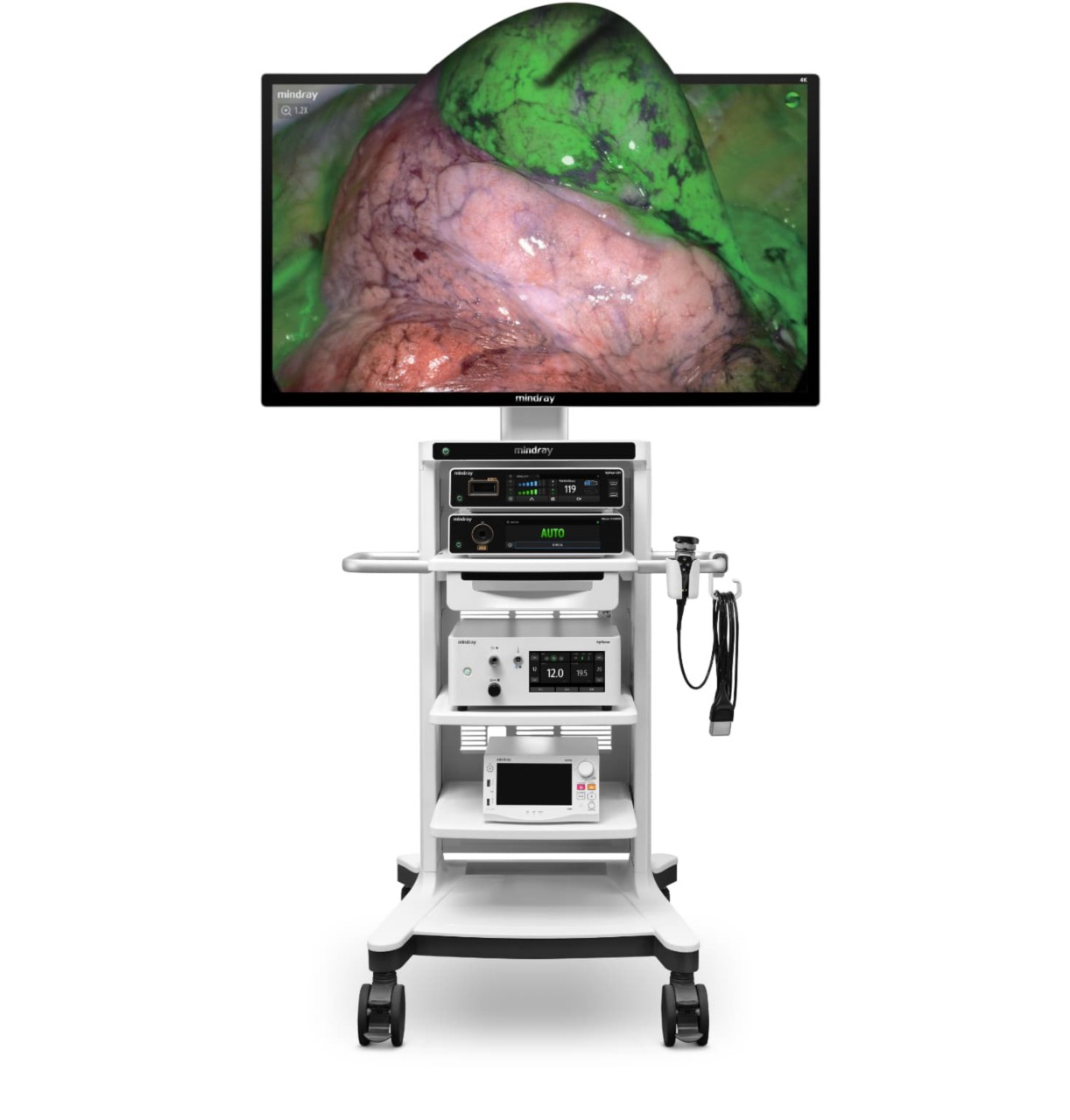 pg电子游戏(试玩)官方网站-APP下载