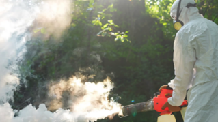 Game Changer in Dengue Diagnosis and Care