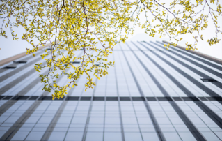 Rating MSCI ESG firmy Mindray wzrós? do poziomu AA – najwy?szego dla spó?ek notowanych na rynku akcji A