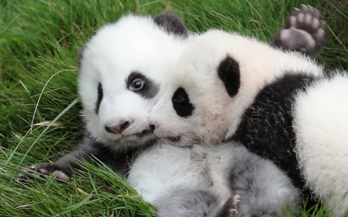 pg电子游戏(试玩)官方网站-APP下载